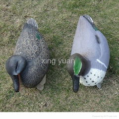 Hunting Duck decoy,foam material 