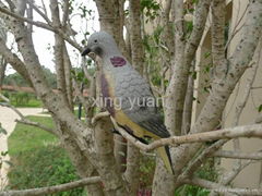 XPE foam Pigeon decoy for huner hunting