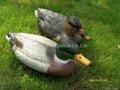 Hunting Duck decoy,plastic material 