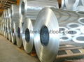 Galvanized Steel Sheet 1