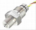 BS12 Piezoresistive OEM Pressure Sensor 5