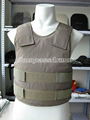 Covert Body Armor 1