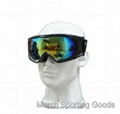 Deluxe Snowboard Ski Goggles Skating Snow Sports Eyewear Dual PC Lens 1