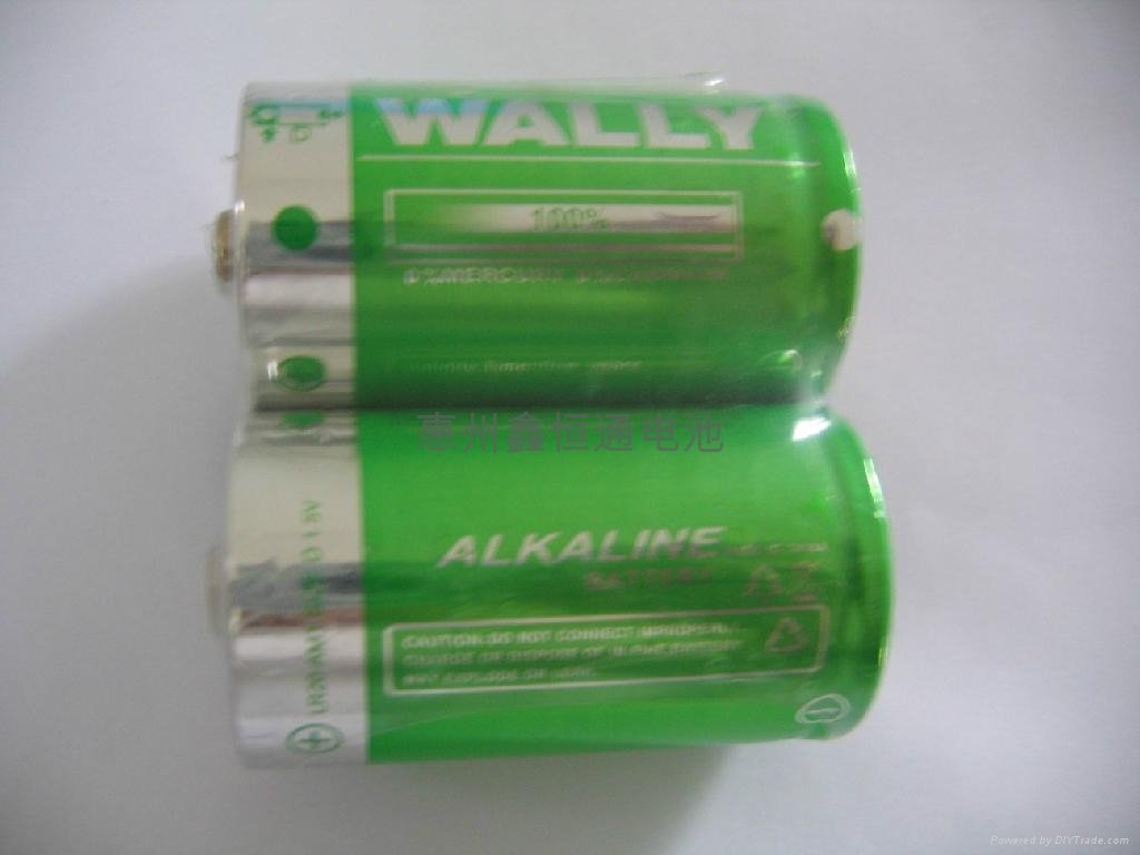 alkaline battery 2