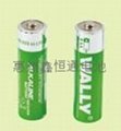 alkaline battery 1