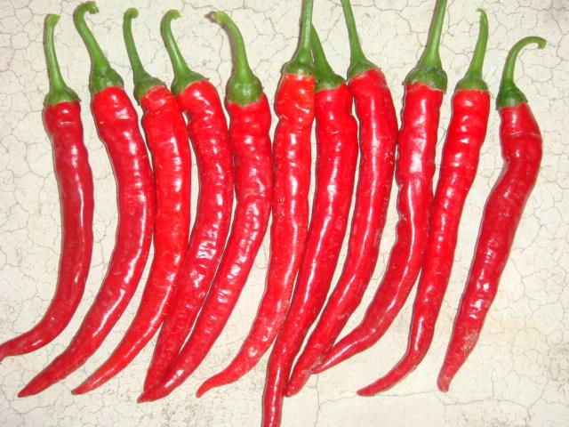 hot Dry Red Chillies without Stem