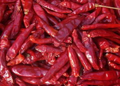 chilli pods A grade