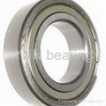 Stainless Steel Ball Bearing