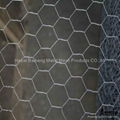 hexagonal wire mesh