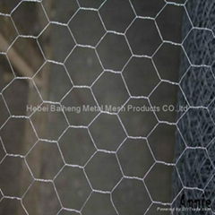 hexagonal wire mesh