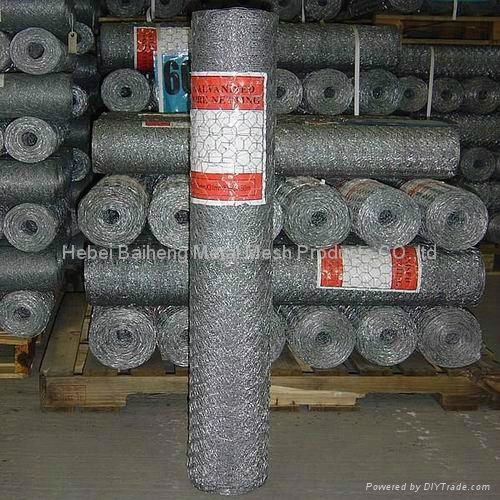 hexagonal wire mesh 5