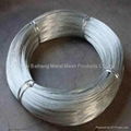 galvanized wire