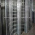 welded wire mesh  1