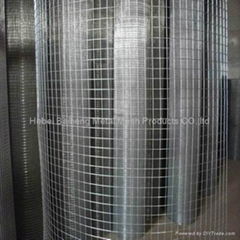 welded wire mesh