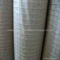 welded wire mesh  4