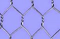 Hexagonal Wire Mesh 1