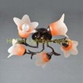 Russian iron ceiling flower lamp with glass lampshade