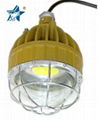 Led explosion proof lighting