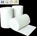 Supply Ceramic Fiber Products 