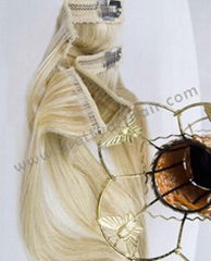 Clip in hair extension