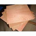 Okoume Plywood