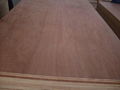 Red Cedar Plywood 2