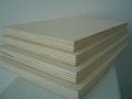 Poplar Plywood 2