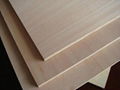 Poplar Plywood 3