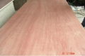 Keuring Plywood