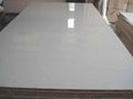 Polyester Plywood 2