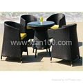 Rattan Dining 1