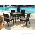 Rattan Dining 2