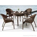 Rattan Dining 3