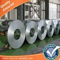 PRECOATED GALVANIZED STEEL COLOR SHEET 2