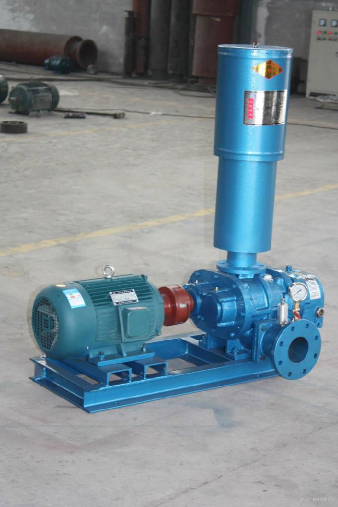 Roots blower for sewage treatment 2