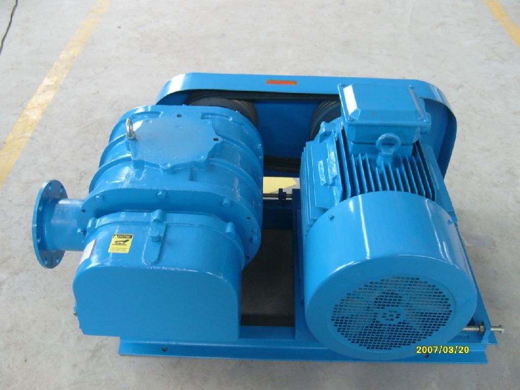 Roots blower for sewage treatment 4