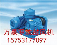 WHR series blower