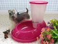 Auto pet feeder 1