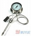 PT166 instant Dual-function with temperature and pressure measuring meter