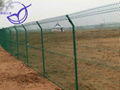 Wire Mesh Fence 5