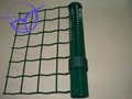 Holland Wire Mesh Fence 4