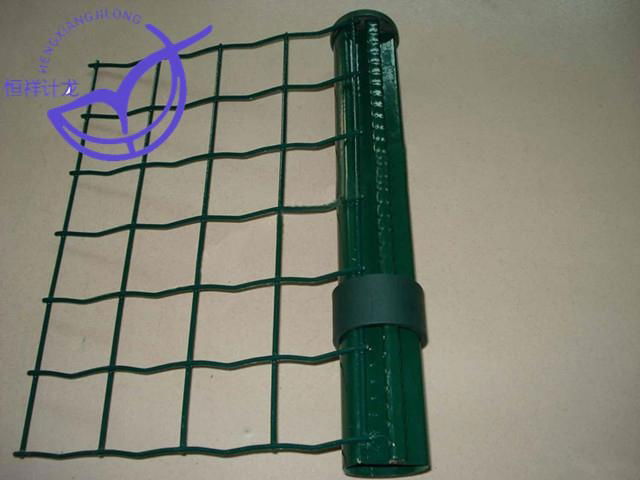 Holland Wire Mesh Fence 4