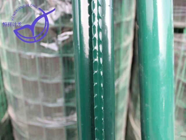 Holland Wire Mesh Fence 5