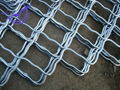 Beautiful Grid Wire Mesh 1