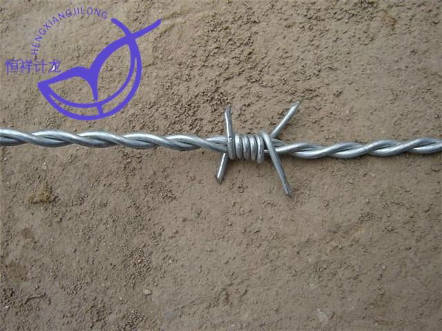 Barbed Wire 3