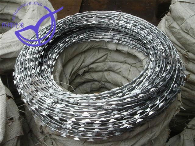 Razor Barbed Wire Mesh