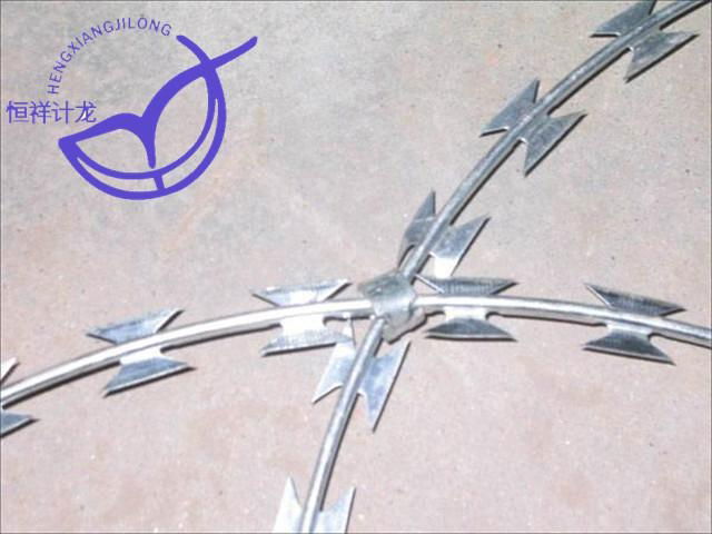 Razor Barbed Wire Mesh 4