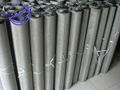 Stainless Steel Wire Mesh 1