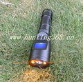 CP-560 newest model bird call with LED light