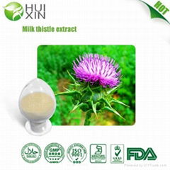 Milk Thistle Extract 80% 